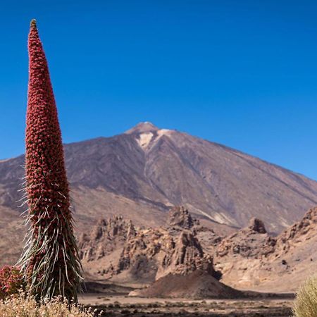 Kings Kapital Lägenhet Santa Cruz de Tenerife Exteriör bild